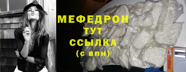 эйфоретик Няндома