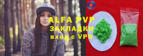 эйфоретик Няндома
