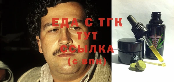 эйфоретик Няндома