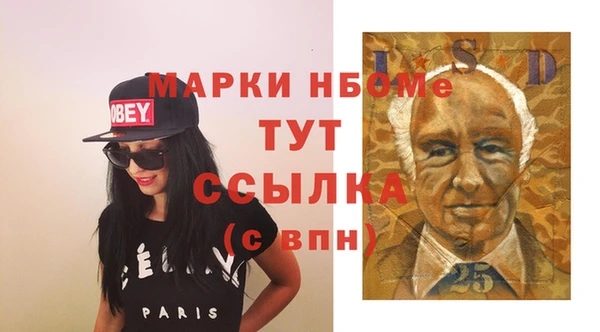 эйфоретик Няндома