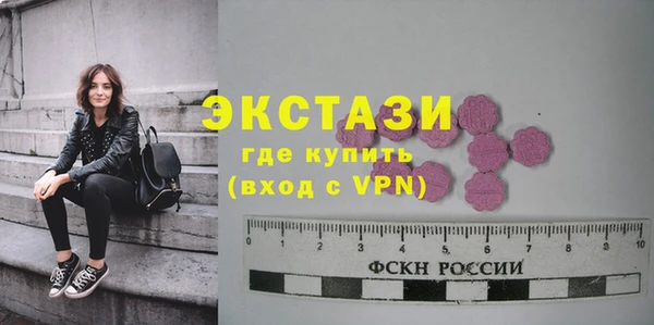 эйфоретик Няндома