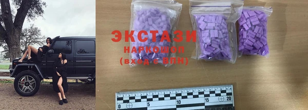 индика Покачи