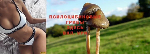 тгк Нязепетровск