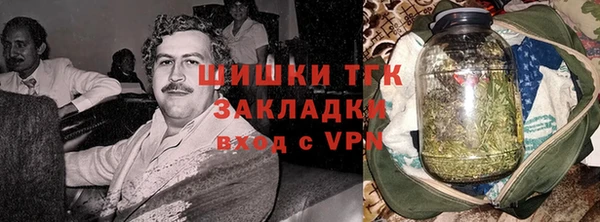 эйфоретик Няндома