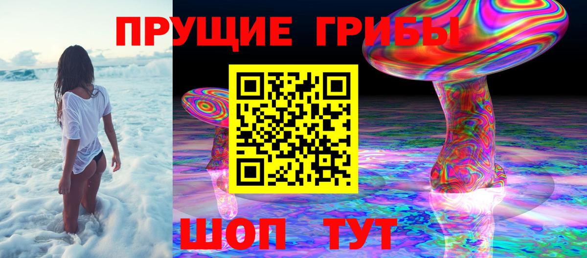 Нижний Тагил  Псилоцибиновые грибы прущие грибы  Псилоцибиновые грибы мицелий  Вход с VPN 